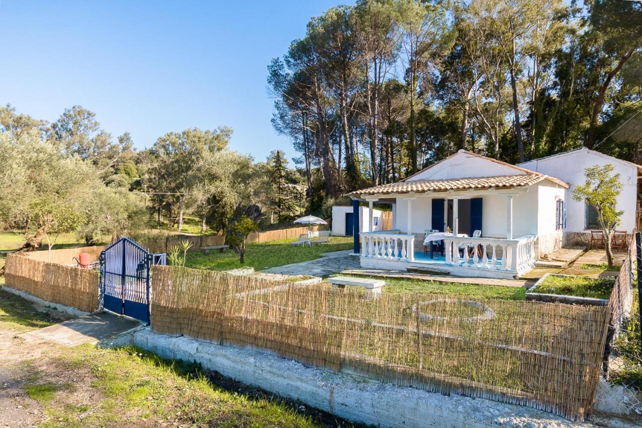 Blue House Διαμέρισμα Δαφνίλα Εξωτερικό φωτογραφία